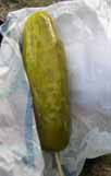 pickle.jpg (8957 bytes)