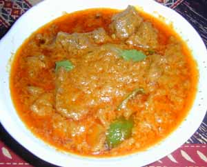 nandy_curry_maton.jpg (20004 bytes)