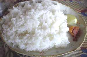 rice.jpg (14807 bytes)