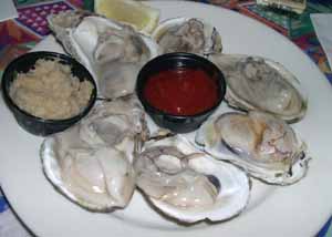 13oyster.jpg (16315 bytes)